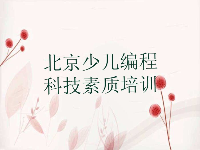 北京少儿编程培训