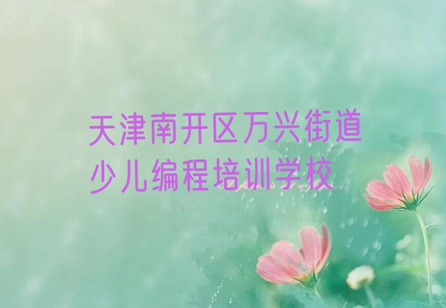 天津南开区万兴街道少儿编程培训学校