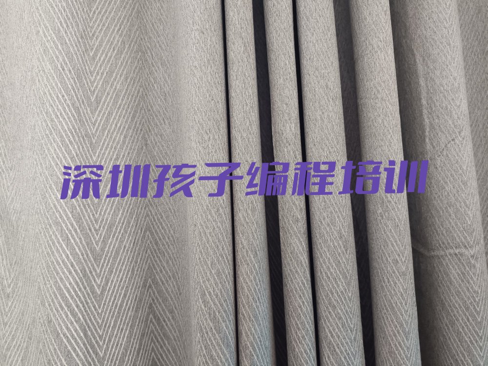 深圳少儿编程培训中心