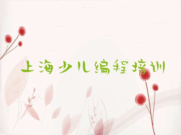 上海少儿编程培训学校