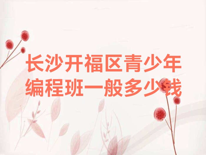 长沙开福区少儿编程培训