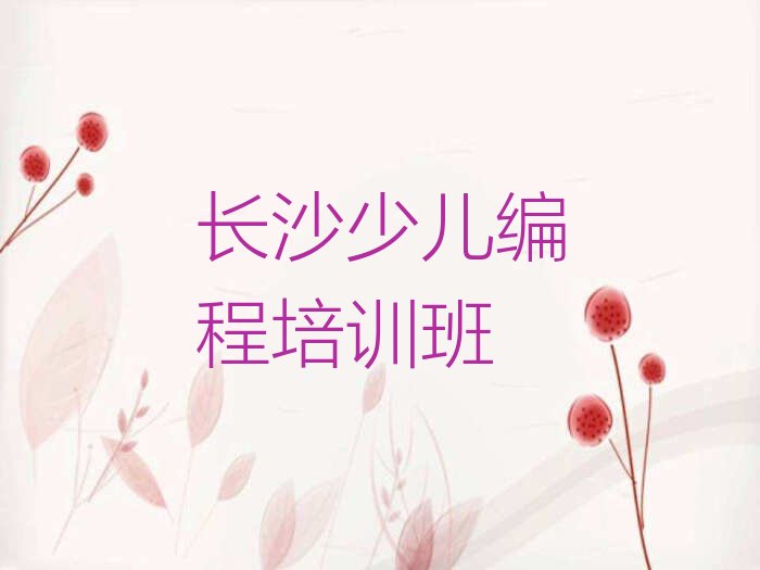 长沙少儿编程培训班