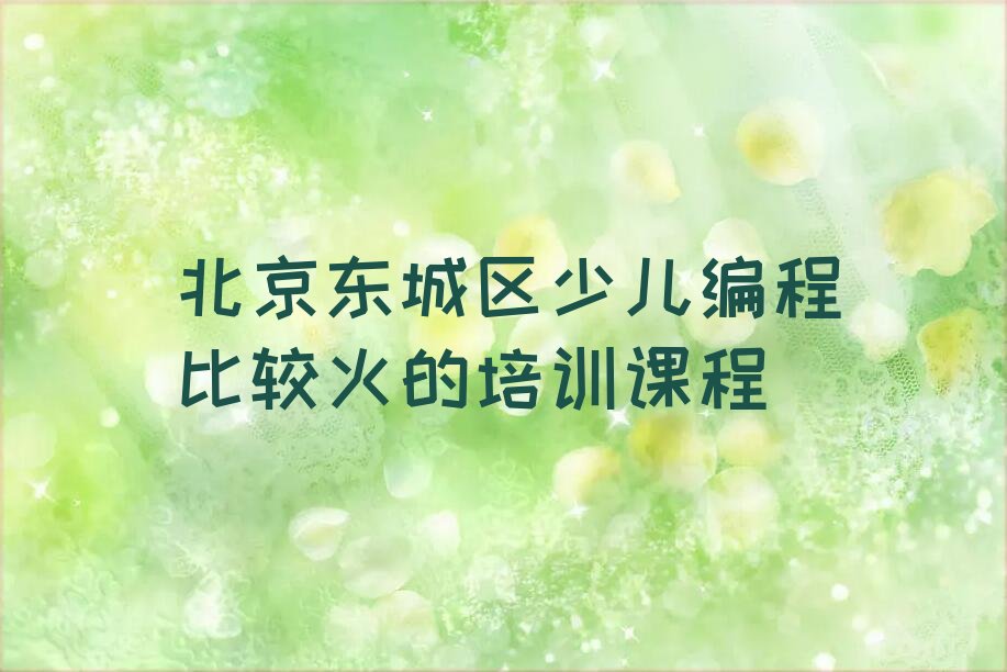 北京东城区少儿编程培训学校