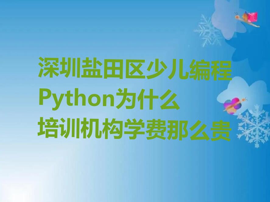 深圳盐田区少儿编程Python培训学校