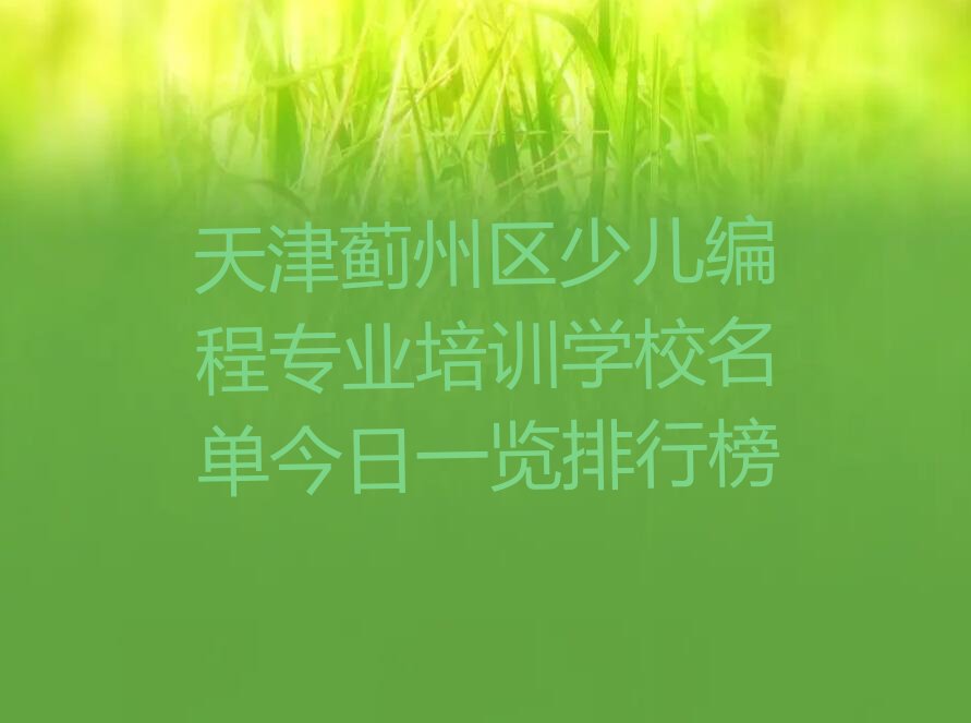 天津少儿编程培训中心