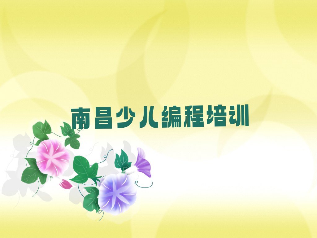 十大南昌noip正规培训是什么排行榜