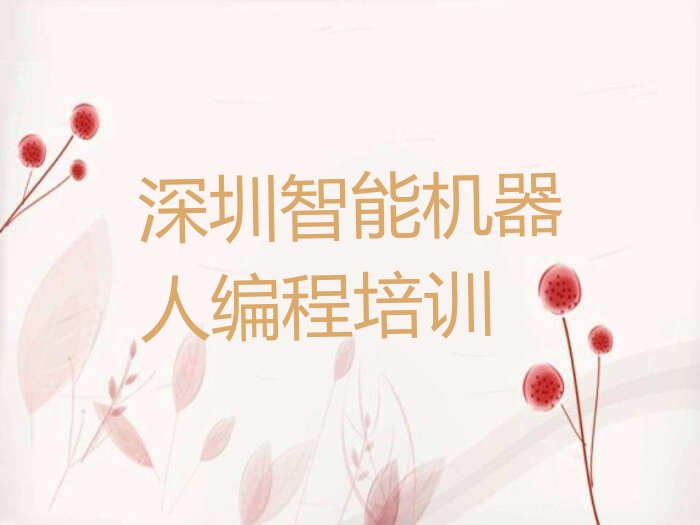 深圳龙华区少儿编程培训学校