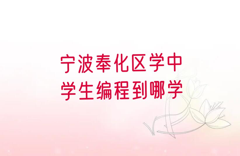 十大宁波奉化区学中学生编程到哪学排行榜
