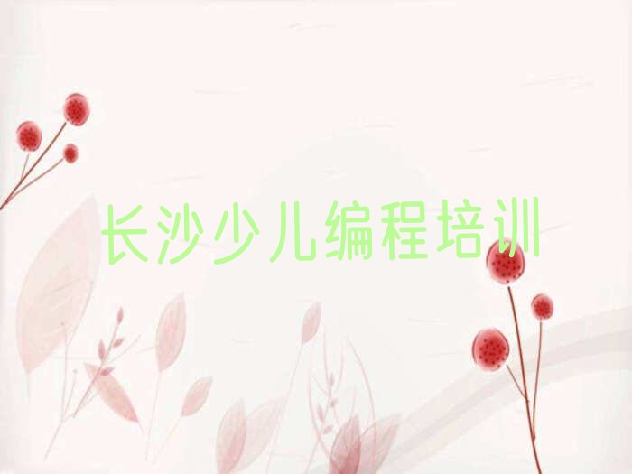 长沙少儿编程培训学校