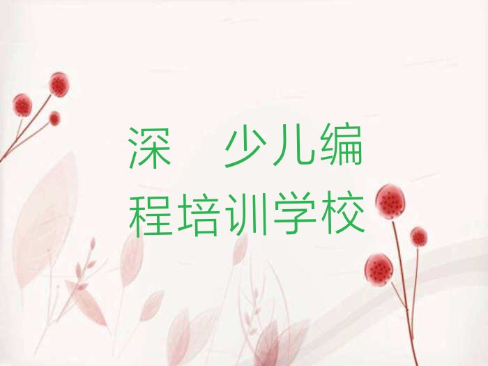 深圳少儿编程培训学校