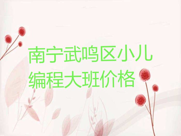 南宁武鸣区少儿编程培训中心