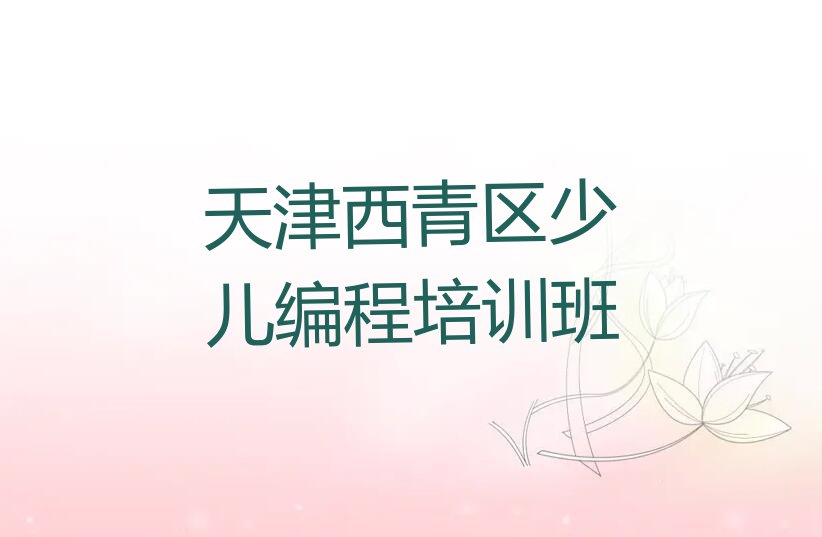 天津西青区少儿编程培训班