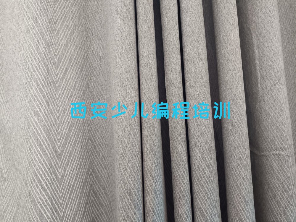 西安高陵区少儿编程培训学校