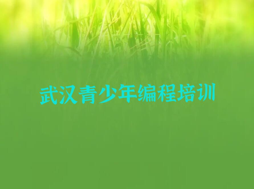 十大2024年武汉想学青少年编程去哪里学排行榜名单公布一览表排行榜