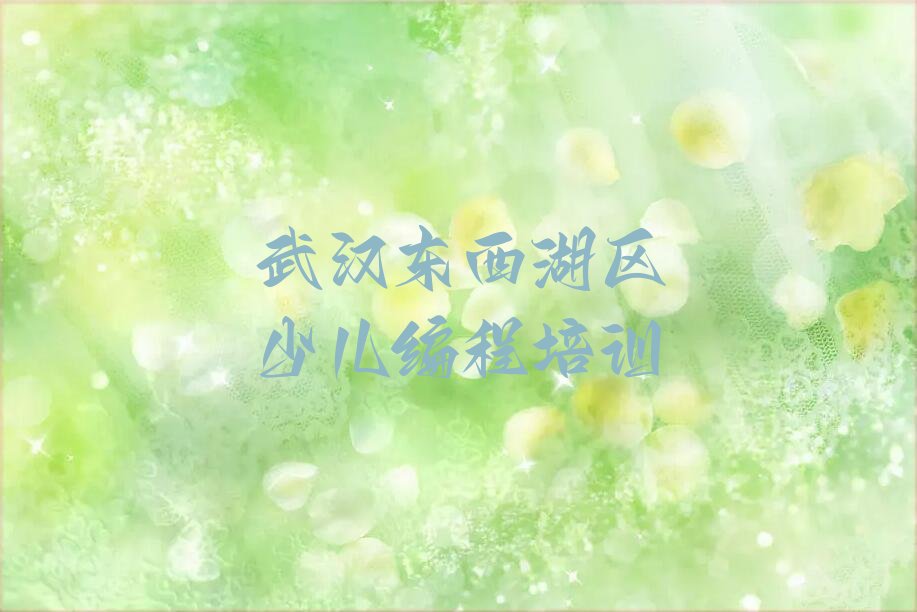 武汉东西湖区少儿编程培训