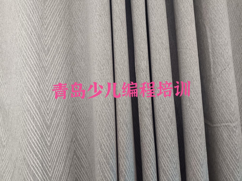 青岛黄岛区少儿编程培训中心
