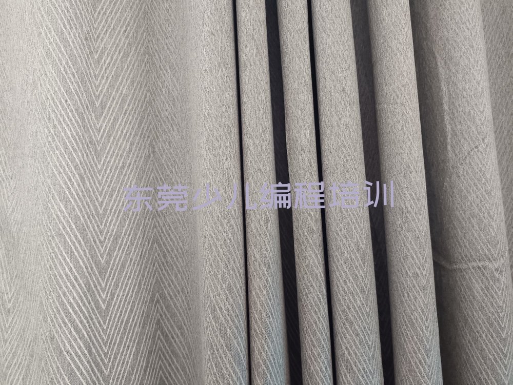 十大东莞少儿编程c++培训机构一览表排行榜