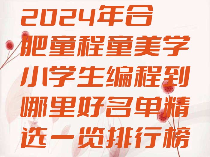 合肥庐阳区杏林街道小学生编程培训学校