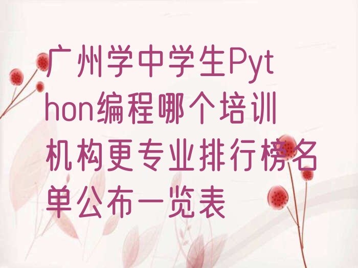广州中学生Python编程培训学校