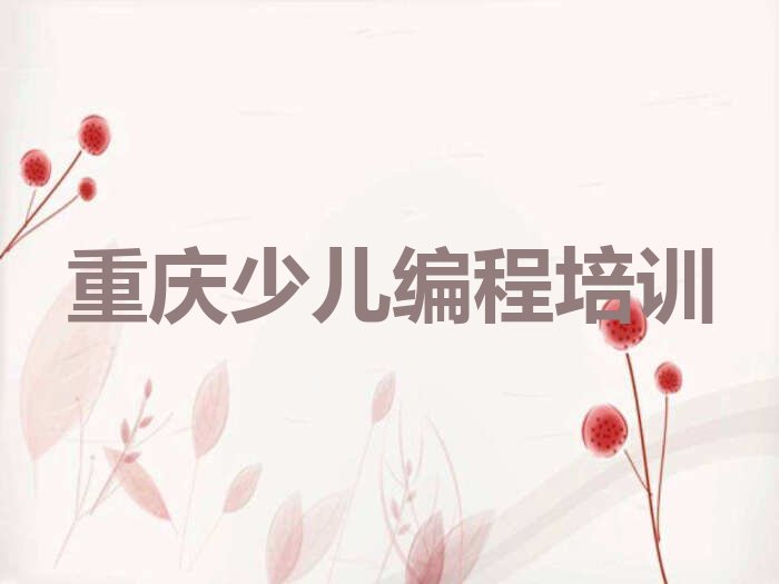 重庆江津区少儿编程培训班