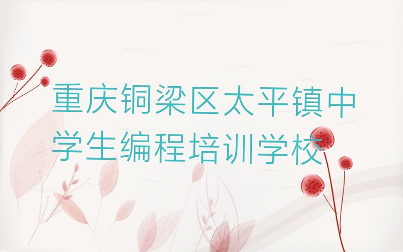 中学生编程