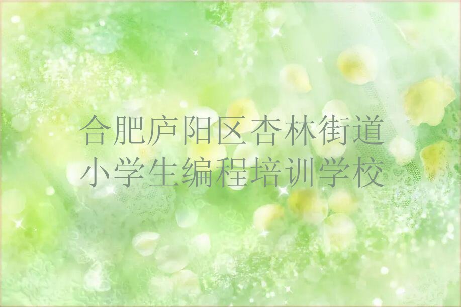 合肥庐阳区杏林街道小学生编程培训学校