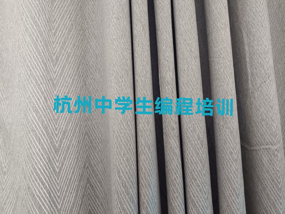 杭州临安区少儿编程培训中心