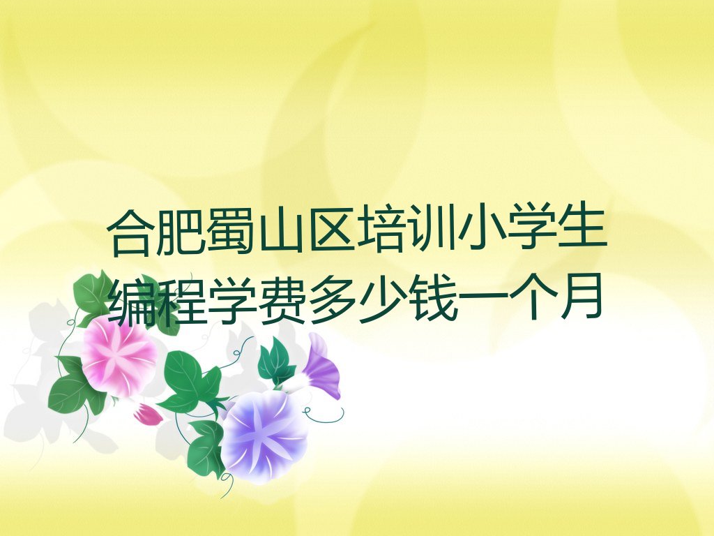 十大合肥蜀山区培训小学生编程学费多少钱一个月排行榜