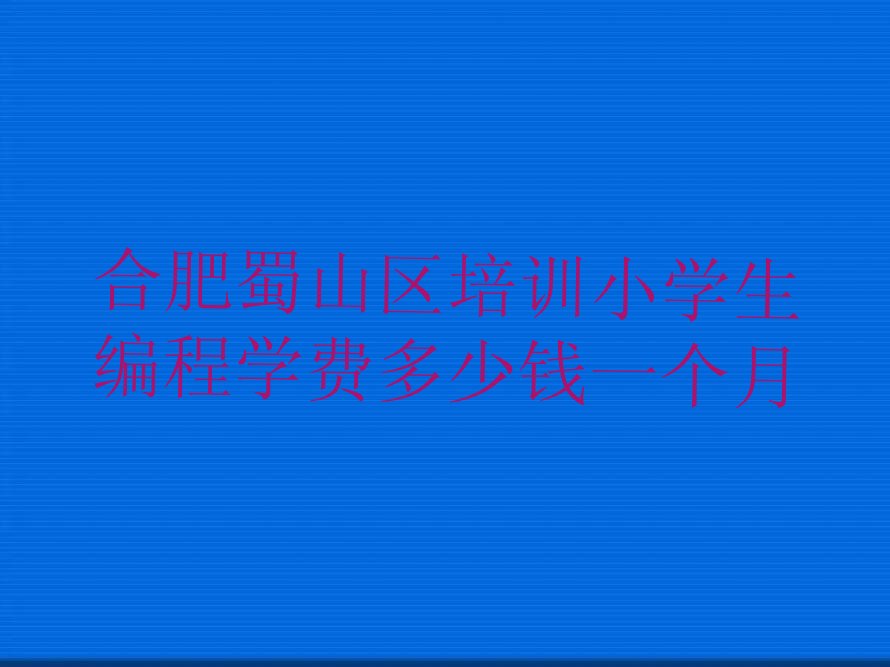 合肥蜀山区少儿编程培训中心