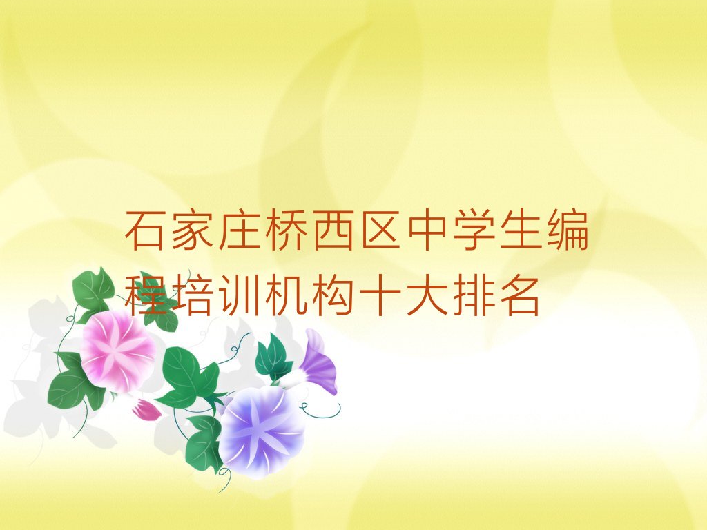 石家庄桥西区少儿编程培训中心