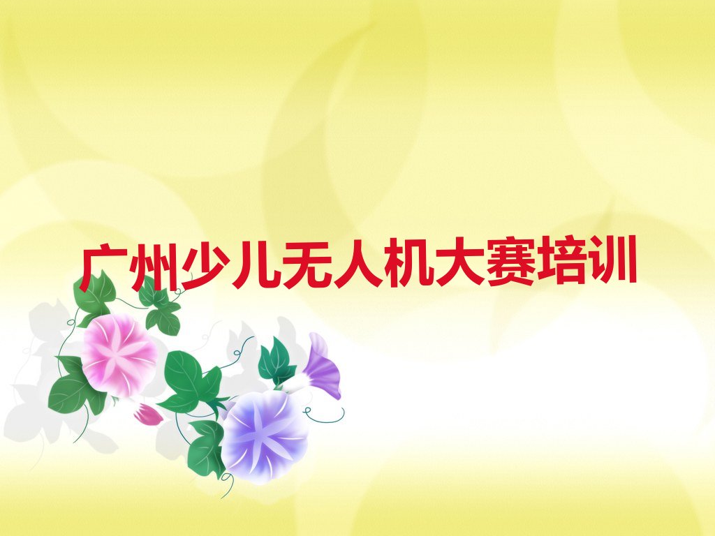 十大广州增城区少儿无人机大赛广州增城区这个辅导机构怎么样排行榜