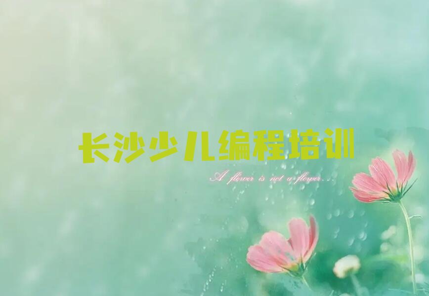 长沙少儿编程培训班