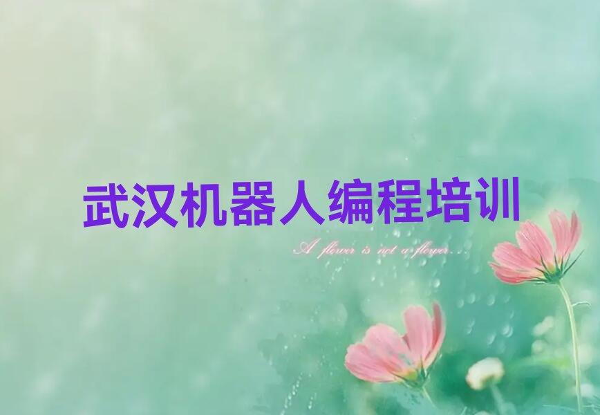 武汉硚口区机器人编程培训学校