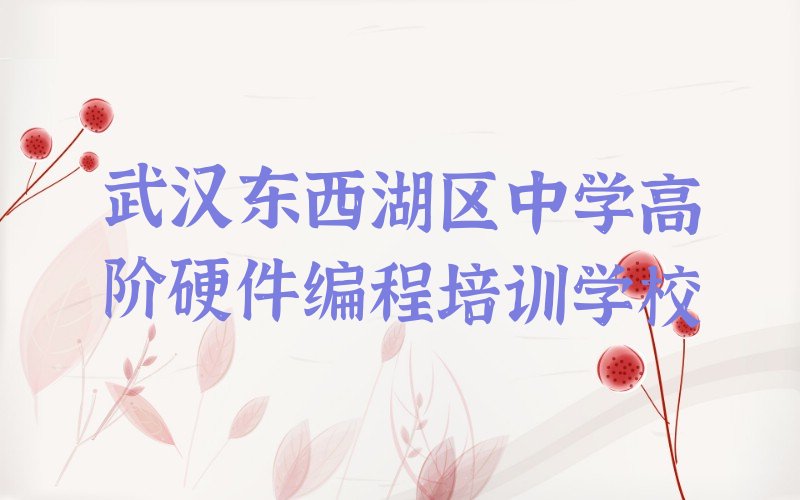 武汉东西湖区中学高阶硬件编程培训学校