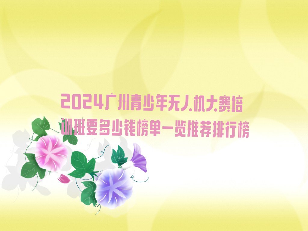 广州南沙区大岗镇青少年无人机大赛培训学校