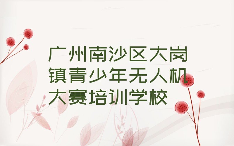 广州南沙区大岗镇青少年无人机大赛培训学校