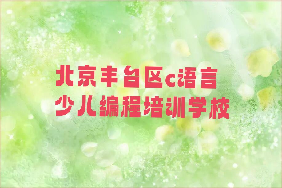 北京丰台区c语言少儿编程培训学校