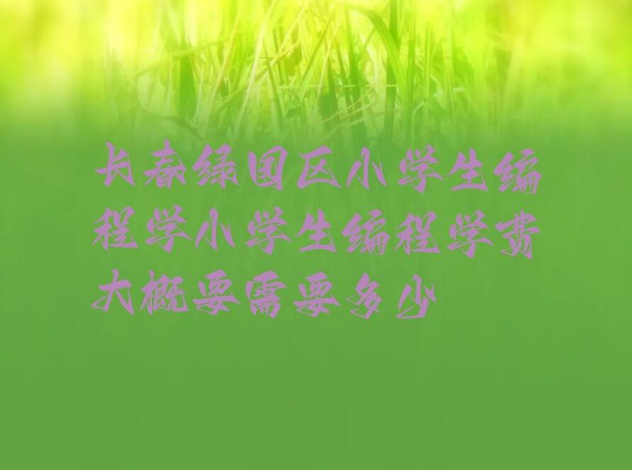 长春绿园区小学生编程培训学校