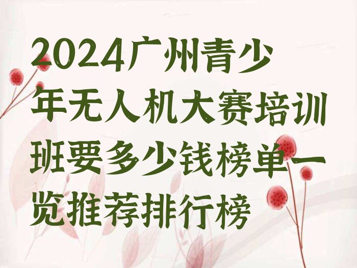 广州南沙区大岗镇青少年无人机大赛培训学校