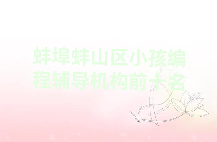 蚌埠蚌山区少儿编程培训中心