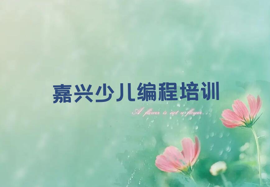 嘉兴少儿编程培训