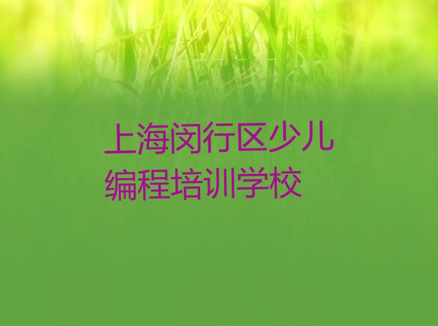 上海闵行区少儿编程培训学校