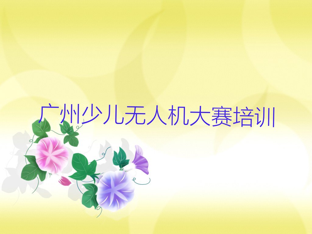 十大广州花都区童程童美少儿无人机大赛培训学校排行榜