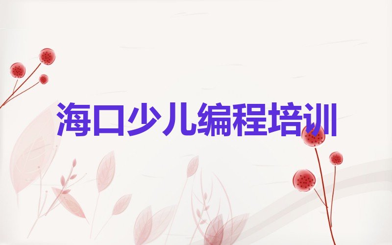 海口美兰区三江镇中学生编程培训学校