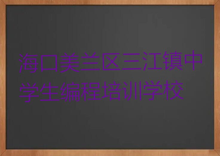 中学生编程