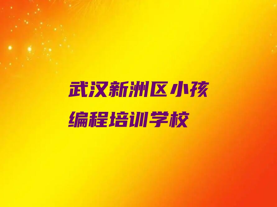 武汉新洲区小孩编程培训学校