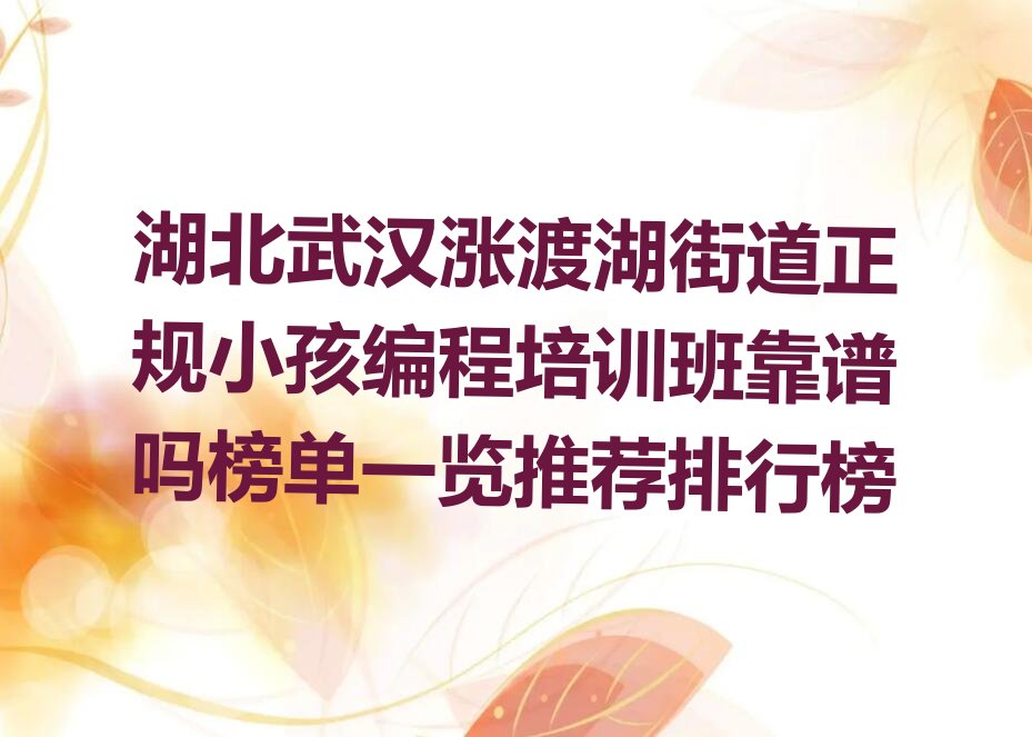 小孩编程