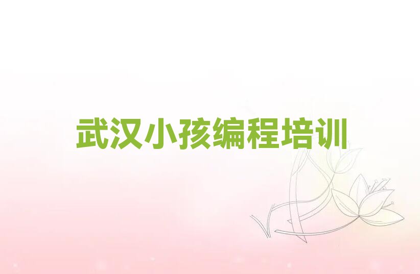武汉新洲区小孩编程培训学校
