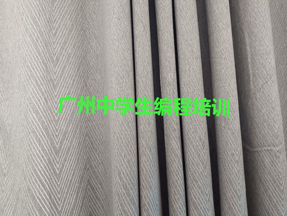 广州少儿编程培训