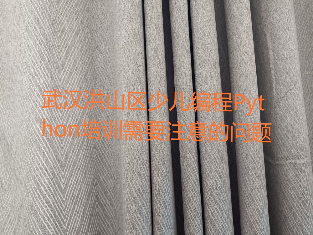 十大武汉洪山区少儿编程Python培训需要注意的问题排行榜